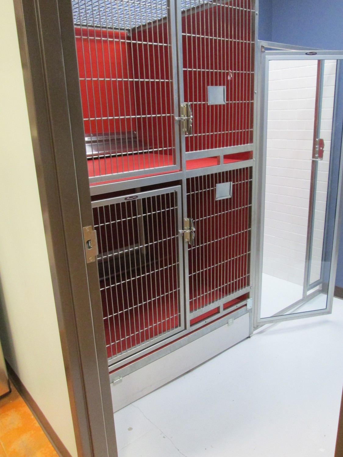 Larger Holding Kennels