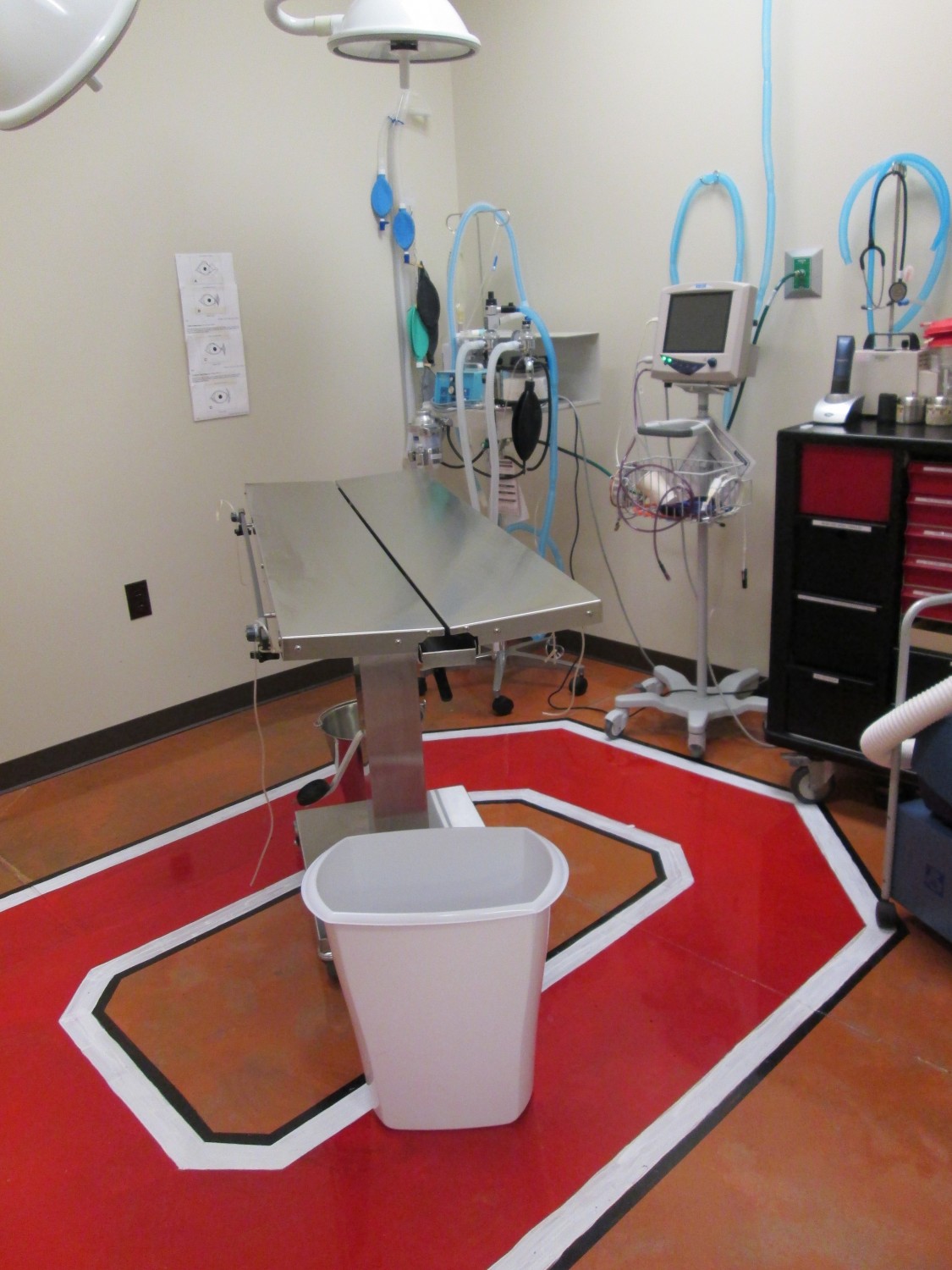 The Surgical Suite