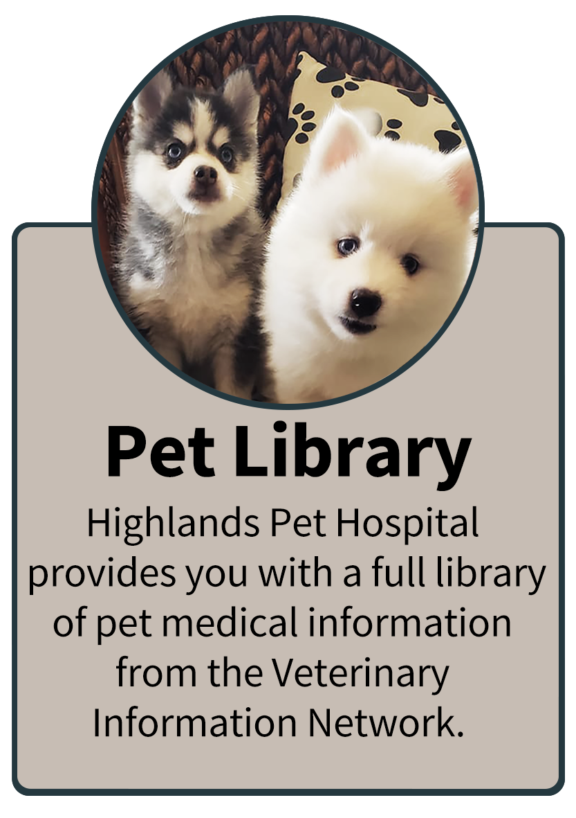 Pet Library Infographic