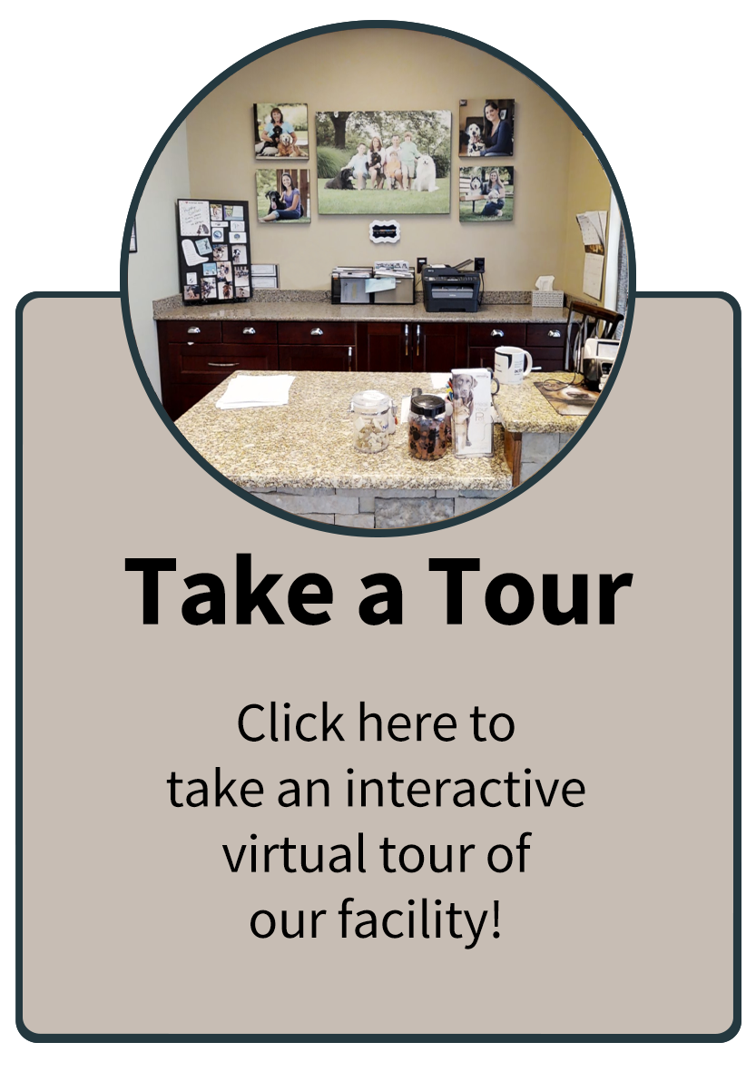 Take A Tour Infographic